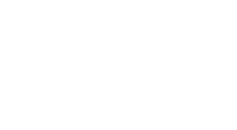 SHINKOU KASEI